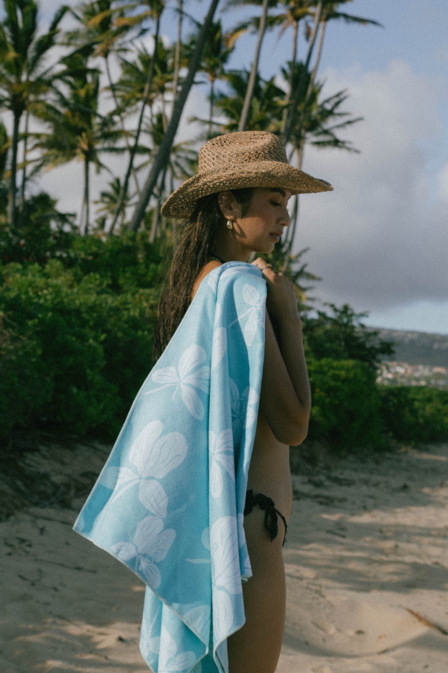 Blue Ginger Towel